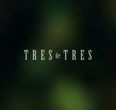 Chica sexy, travestis em Paraíso