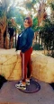 : travesti em Zacatecas