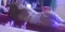 Fetichismo, Lencería, Sexo anal: travesti em Celaya