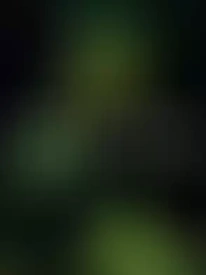 Chica Sexy, Travesti en Paraíso 6643111174